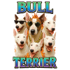 Bullterrier