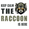 Keep Calm Raccoon est là