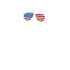 Sjov bamse med amerikanske solbriller