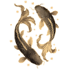 Koi Carp