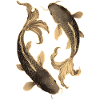 Koi