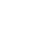 Abi Shirt