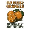 Orange Summer Fruit Citrus Paradise