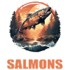 Salmon Salmon