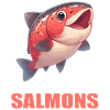 Salmon Salmon