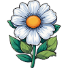Small White Flower