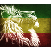 Reggae Lion Flag Art