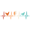 Poules Heartbeat Fermier Poulet fermier