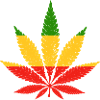 Rood Goud Groene Rasta Kleuren Cannabis Blad