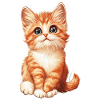 Chaton mignon