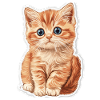 Chaton mignon
