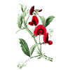 "Fckfascism" Series | Dance