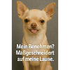 Mein Benehmen exzellent
