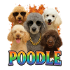 Pudel