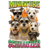 Schnauzer