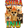 Shiba Inu