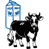 Dairy Cow with Milk Carton Background