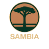 Sambia Baum rund