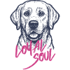 Labrador – Loyal Soul