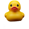 Duck ou
