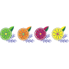 Fresh Citrus Zesty Quartet