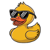 Rubber duck with sunglasses