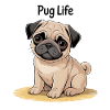 Dogs Pets Pets