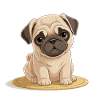 Dogs Pets Pets