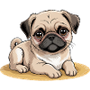 Dogs Pets Pets