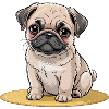 Dogs Pets Pets