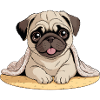 Dogs Pets Pets