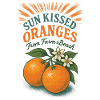 Sun Kissed Oranges Summer