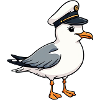 Capitaine Seagull