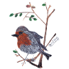 A charismatic Robin