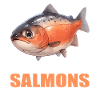 Lachse Lachs