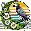 African Grey Parrot