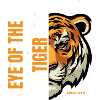 eye of the tiger
