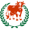 Champion cow dairy