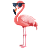 Flamingo 🦩 with sunglasses