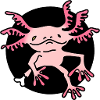 Axolotl