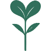 Sweetheart – Minimalist Plant Illustration