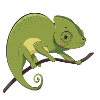 Chameleon