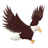 Aigle