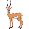 Antilope
