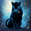 Power Animal Dark Panther