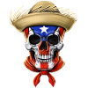 Puerto Rico Skull