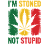 Je suis défoncé, pas stupide
