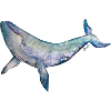 Baleine - Aquarelle de Anch.art