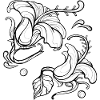 Blumen Hibiskus