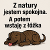 Nieogarnięta kolekcja